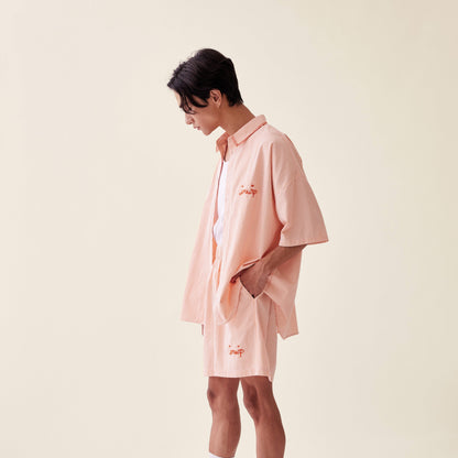 Summer Stripe Set